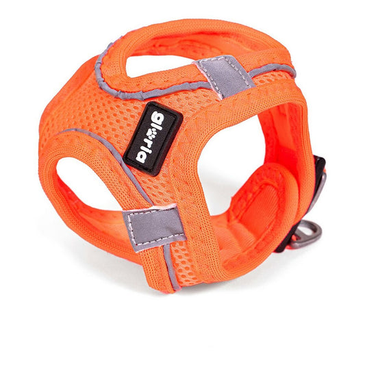 Koiran valjaat Gloria Air Mesh Trek Star Säädettävä Oranssi Koko L (33,4-35 cm)